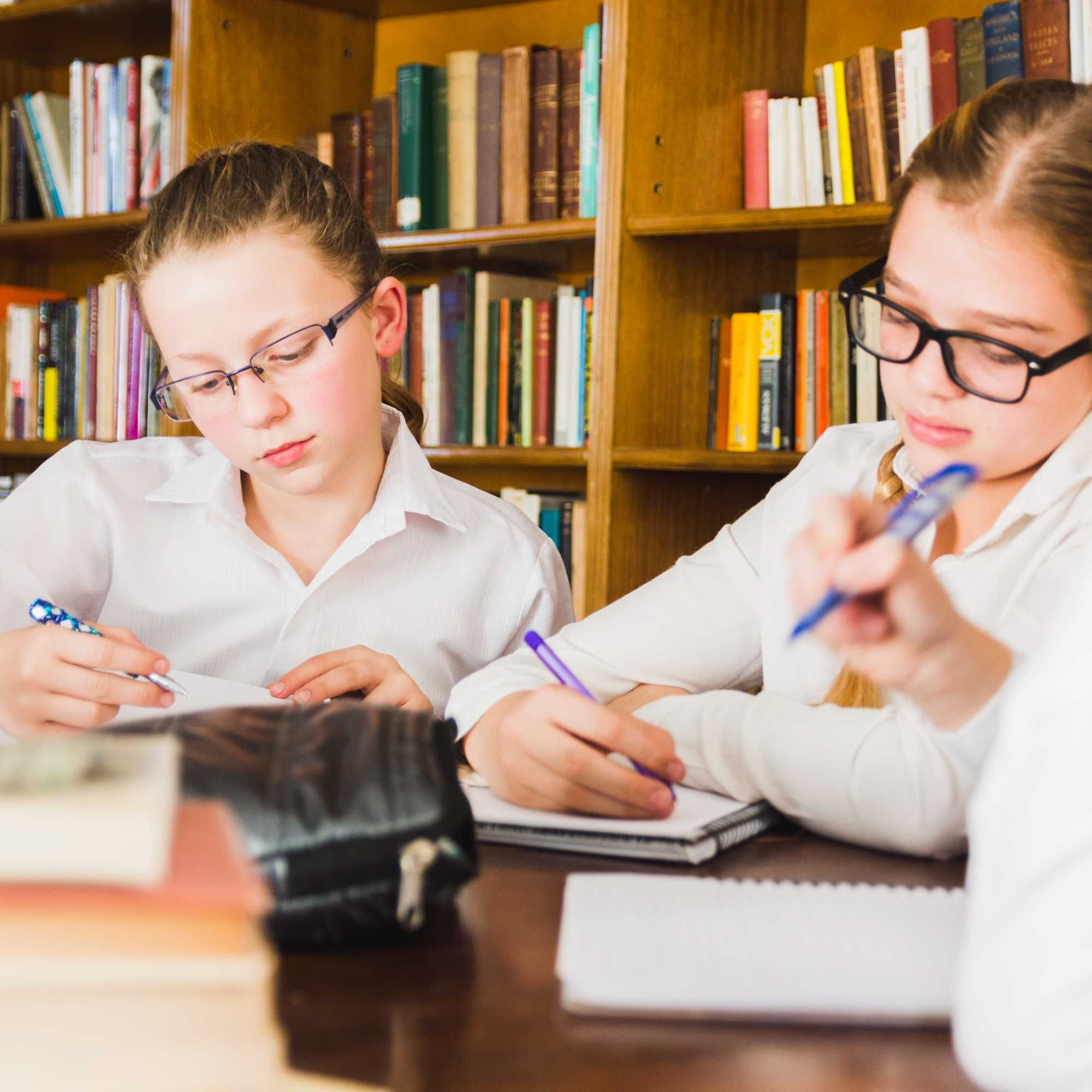 Lectii engleza germana spaniola franceza matematica romana - 80 lei