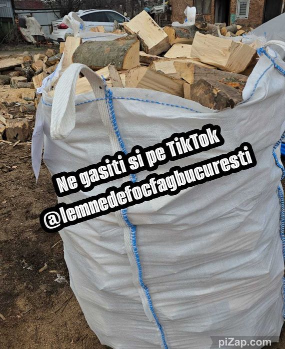 Lemne de foc fag vrac sau ambalate , gata taiate de foc .