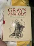 Gray’s anatomy книига