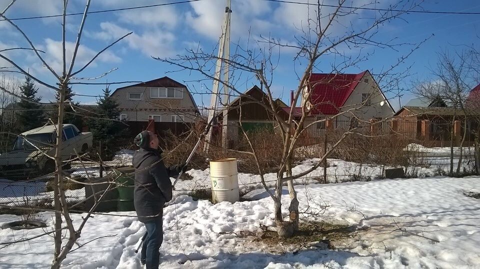 Обрезка Хвойных и Плодовых Деревьев и Опрыскивание ! Шымкент!