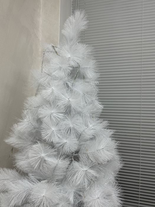 Бяла Коледна елха