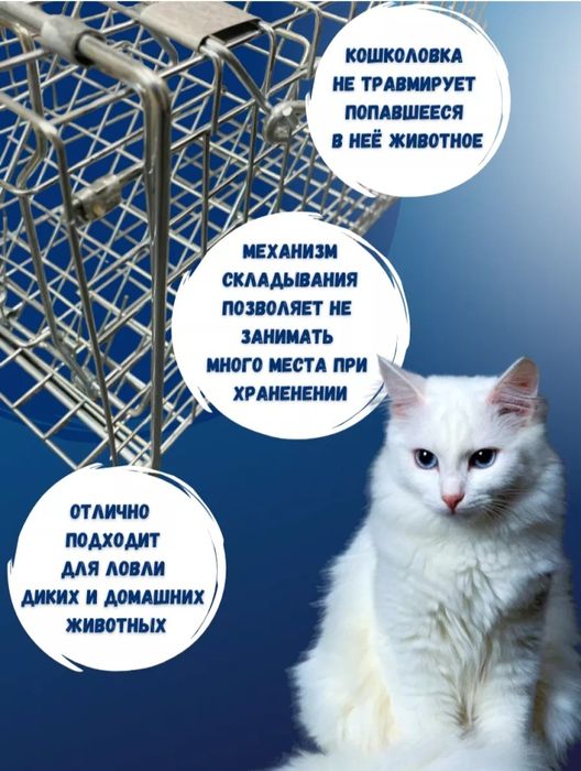 Кошколовка, клетка-ловушка в аренду