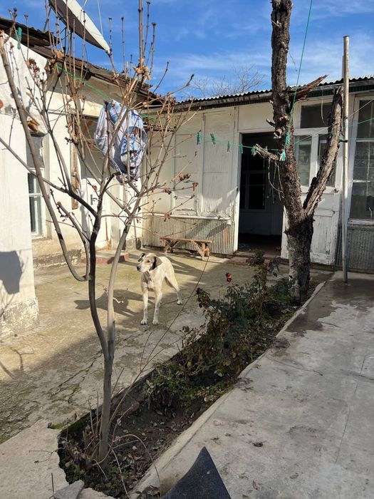 Участок Продается  2 сотих Центр Город