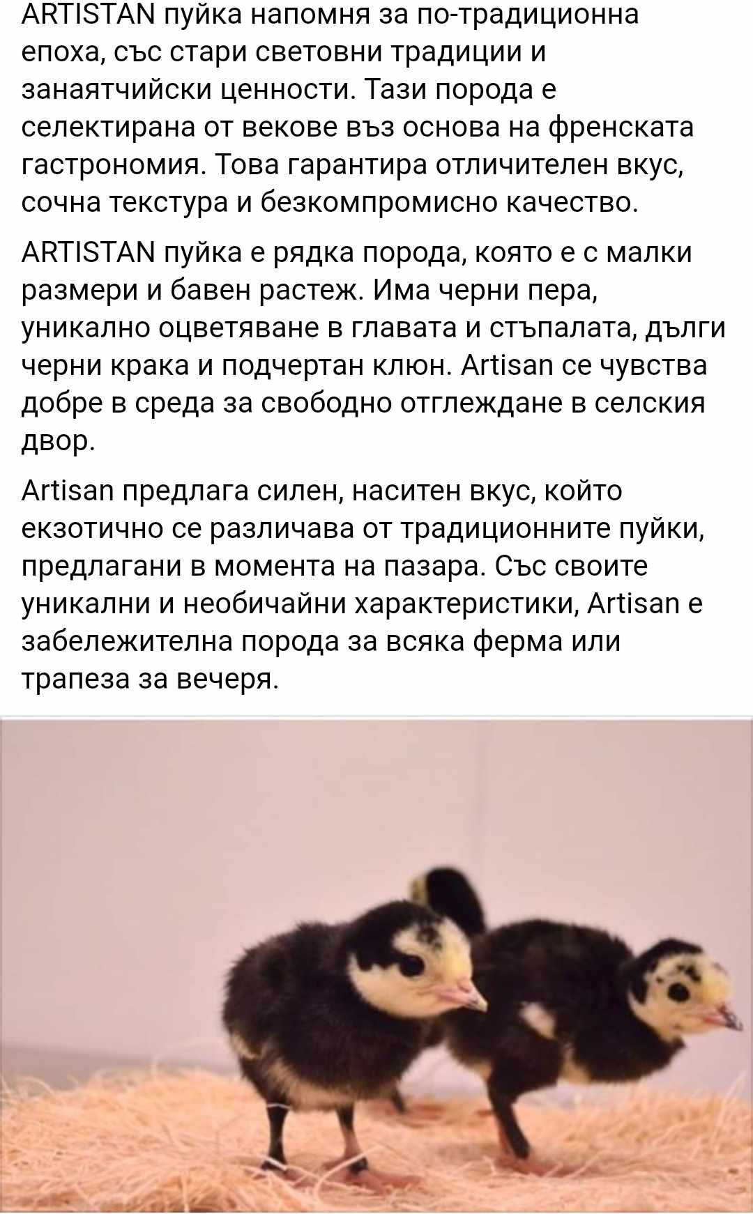 Пуйки-пуйчета Artisan