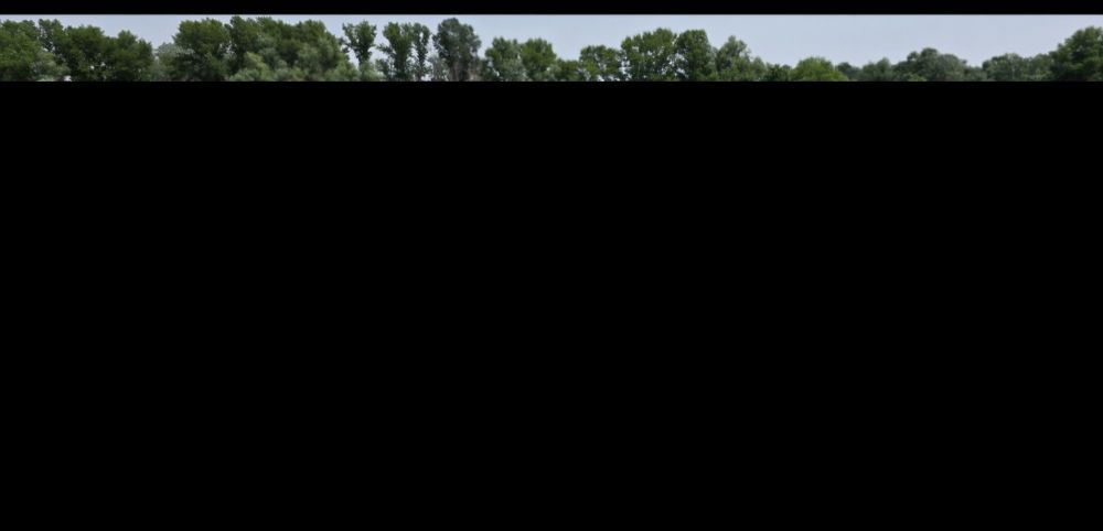 Barca open Delphin motor 130 cp peridoc