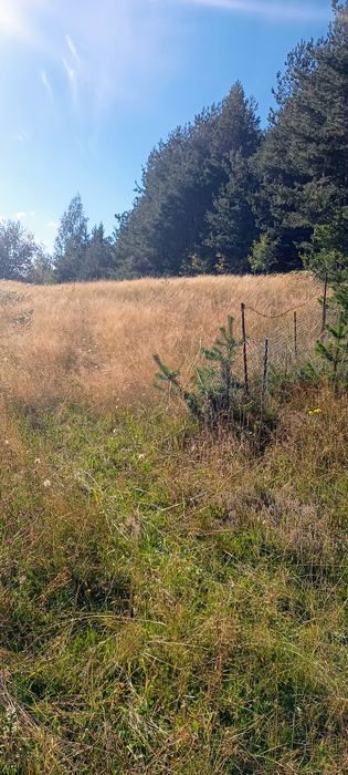 Продава се Земеделски имот в с. Сивино, Област Смолян -  кв.м за 1900 €/дка - Снимка #8