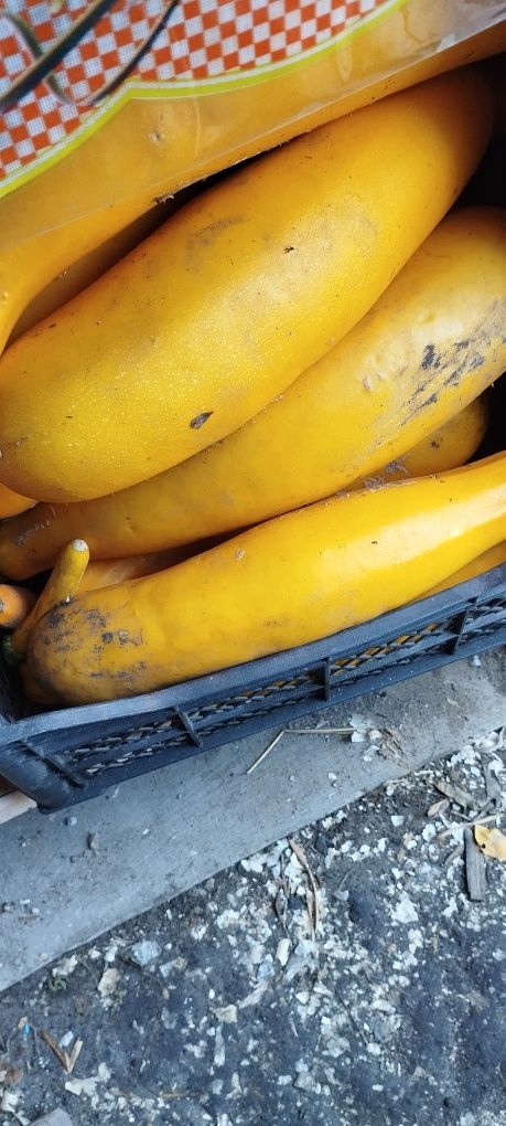 Продам картофель, тыква и тд.