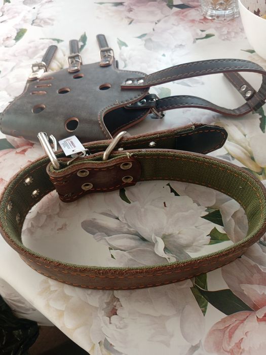 Продам ошейник для собак и намордник. За 5000 каждый.
