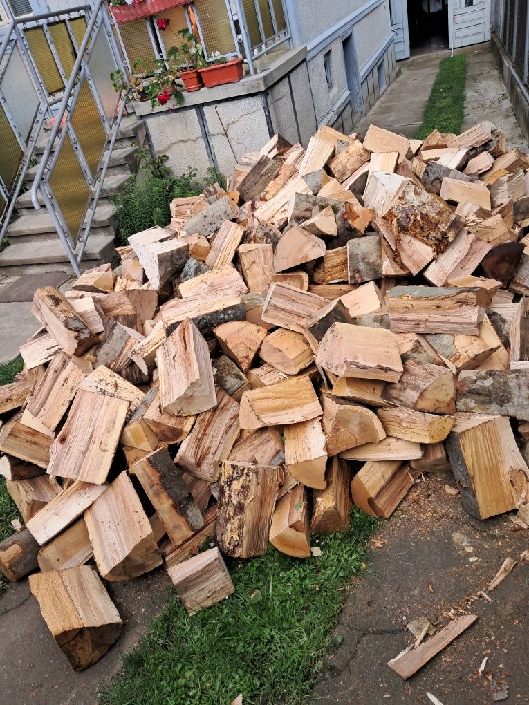 Vând lemne de foc fag la cele mai bune preturi