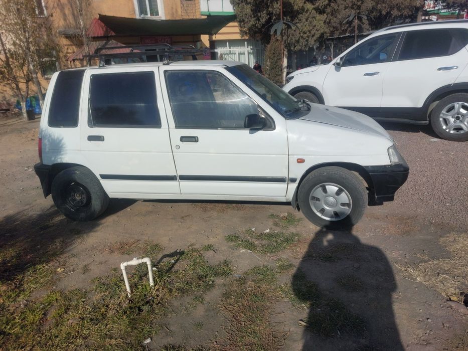 Дайво тико сотилади.