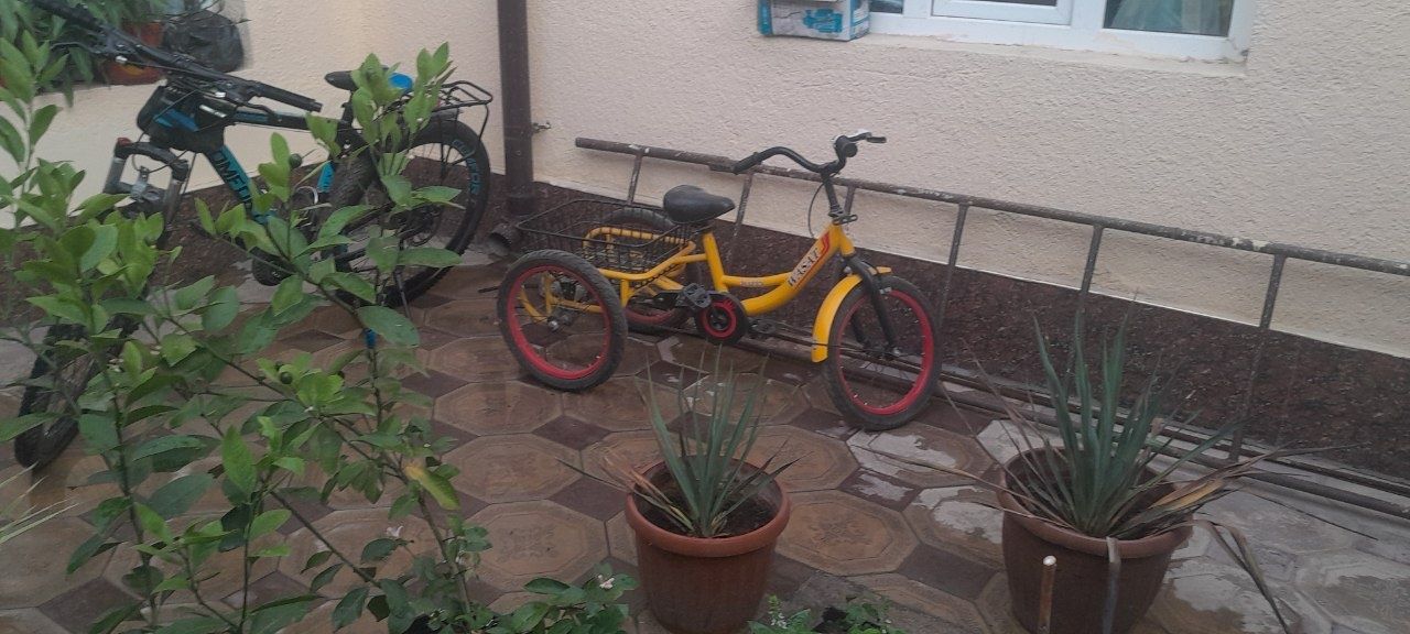 Velosipet sotiladi xolati yaxshi