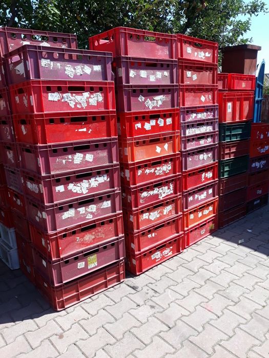 Lăzi pline alimentare pt.carne pt.branză etc.preț.30.lei