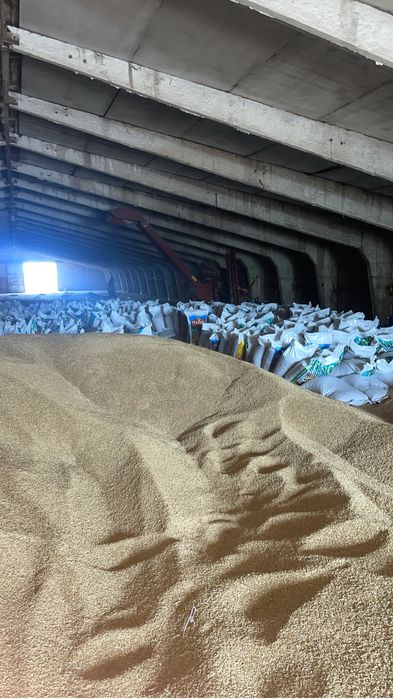 Продам ячмень арпа
