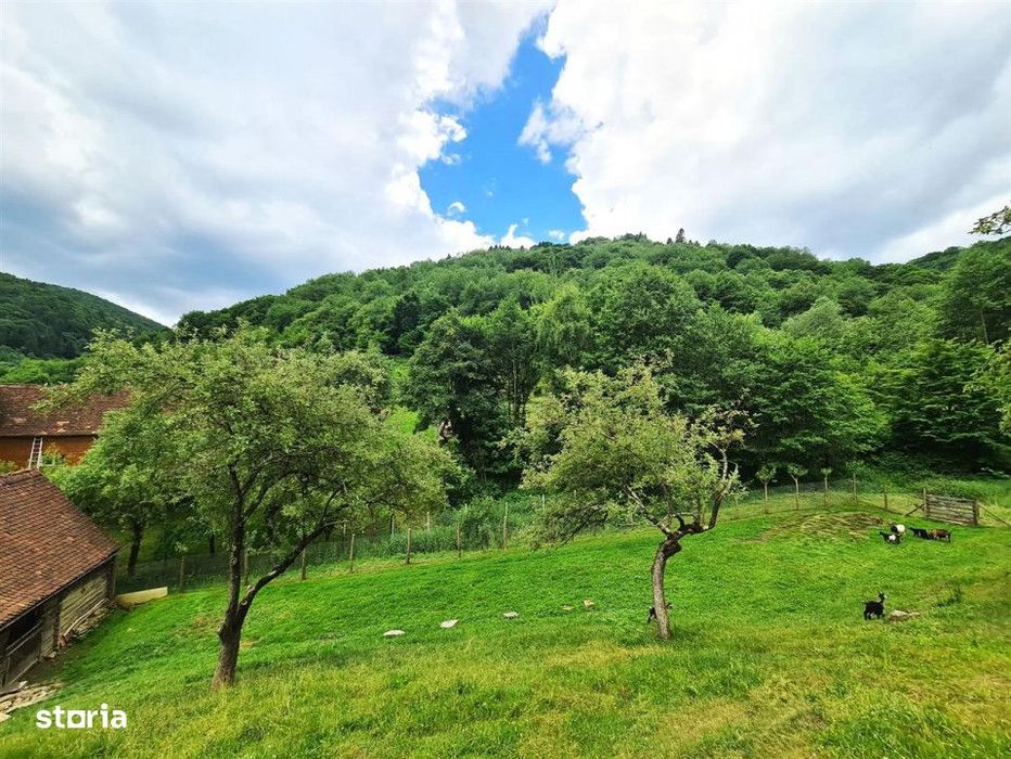 Casa deosebita \ vanzare \ Marginimea Sibiului \ Fantanele