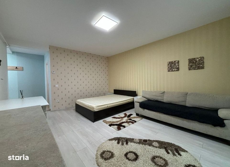 Apartament  1 camera Popas Pacurari , 35 metri, etaj parter Cod:160536