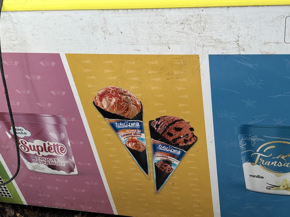 Lada frogorifica 2 bucati + lada de înghetata