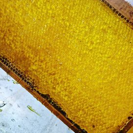Пчелен мед - букет