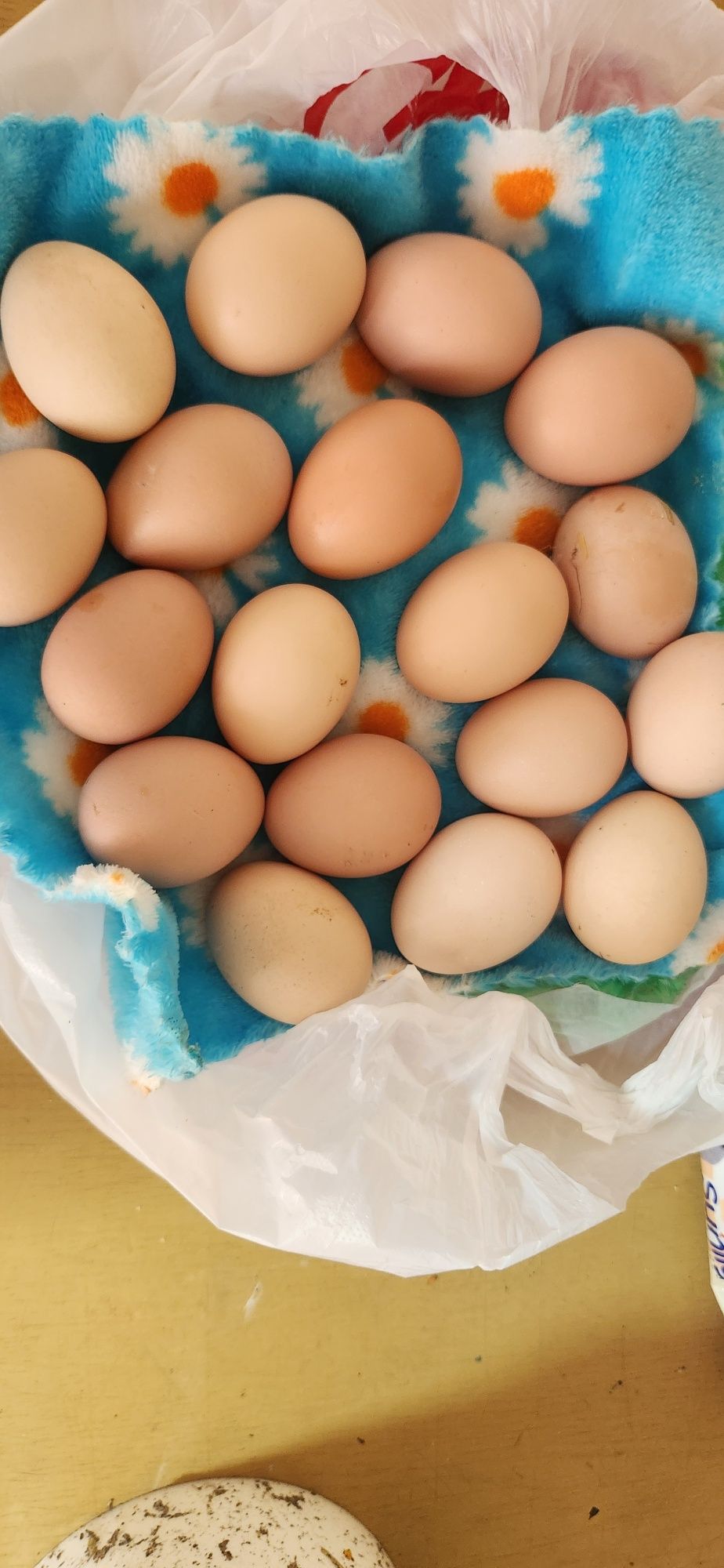 Домашние яйца можно и на икубатор  можно и  кушать без дабавок  звонит