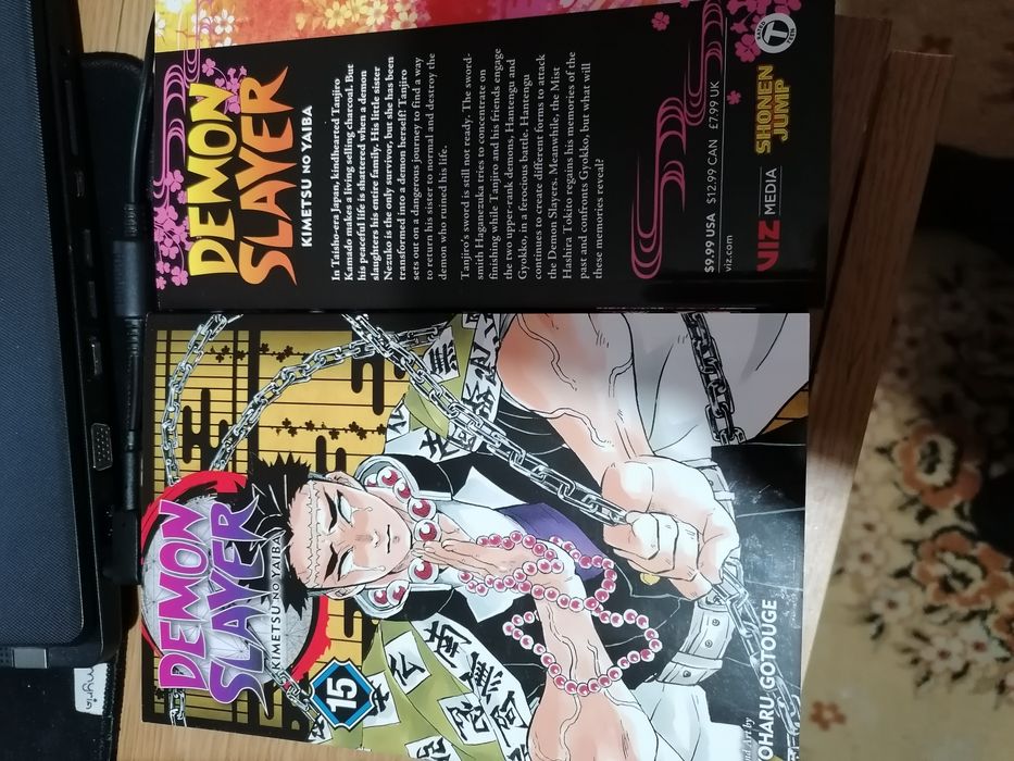 Carte manga Demon Slayer vol  15