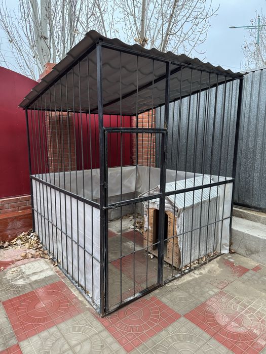 Вольер, Собака, Алабай, Тобет, Шенок, Бутка