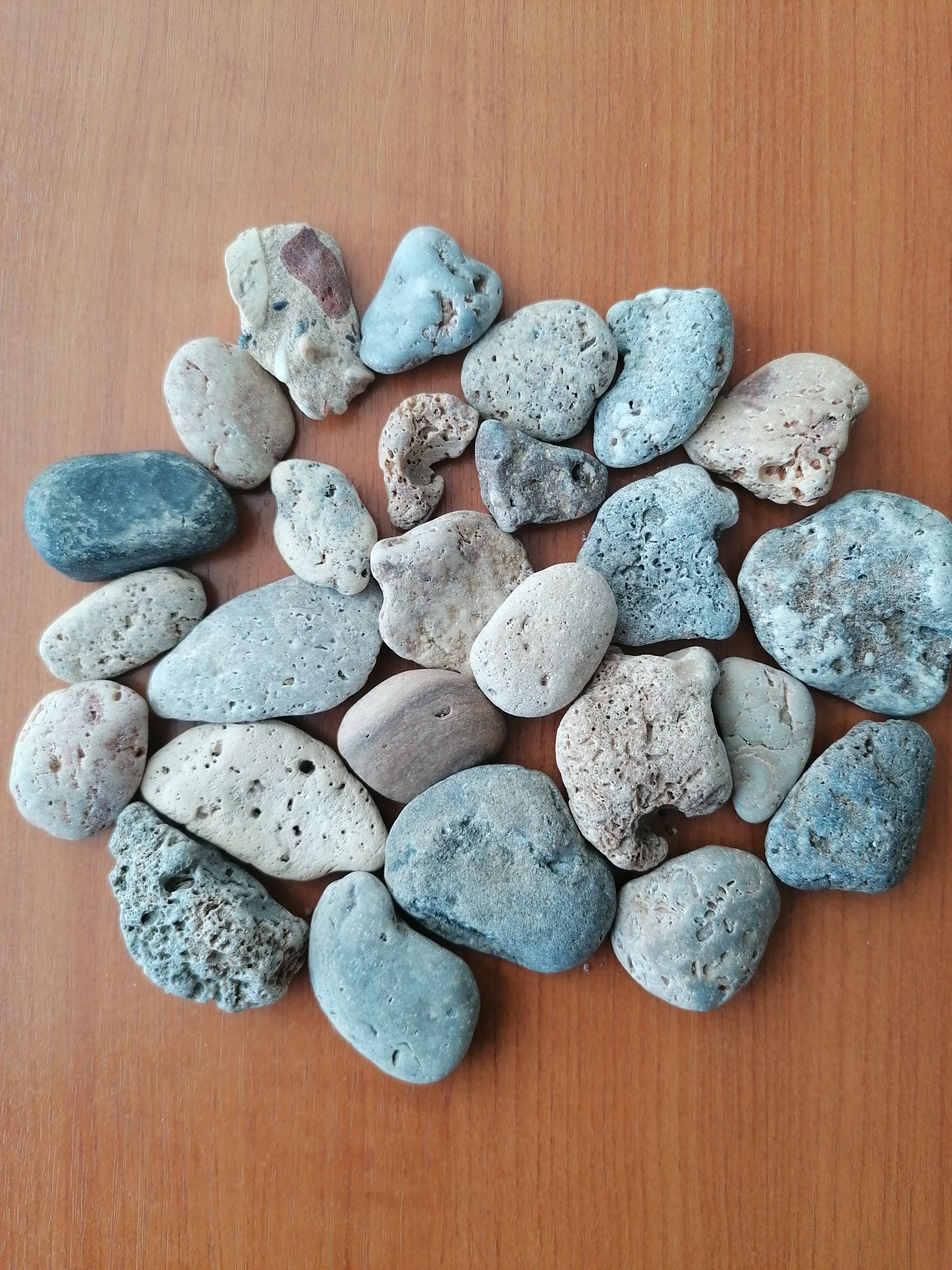 Acvariu 5l, ornamente, scoici, roci, corali, steluțe