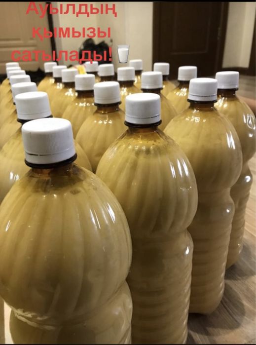Табиғи Қымыз!
