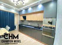 Кухонный мебель Кухонный гарнитур  HI TECH из  АКРИЛ, МДФ ЛАМИНАТ. Ошх