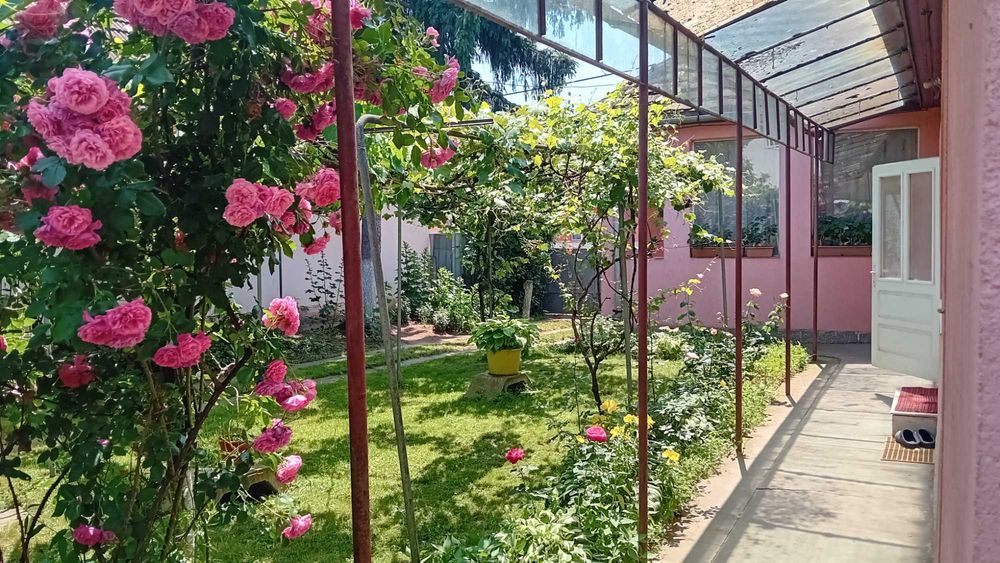 Vanzare casa in Blaj, Str. Clujului