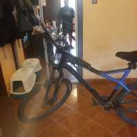 bicicleta de munte roti pe 29 buuls