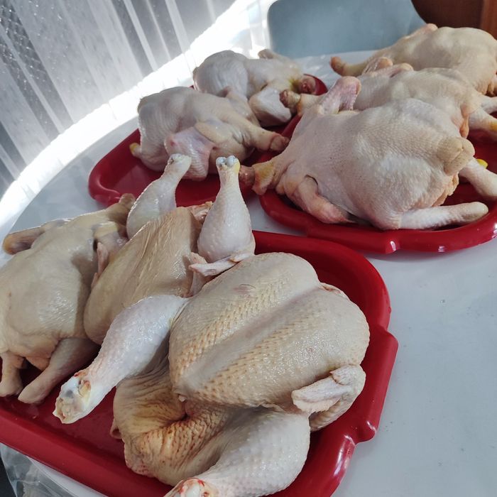 Домашнее мясо курицы