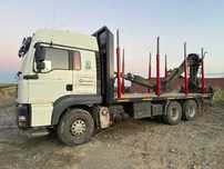 MAN TGA 480 forestier cu motor defect