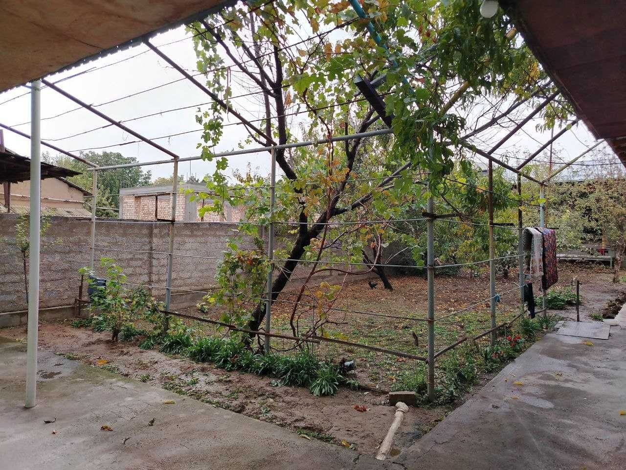 Qibray Uymout yulni yuzida 6,7 sotox hovli sotiladi srochni