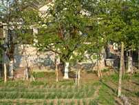 casa de vanzare in Zorleni