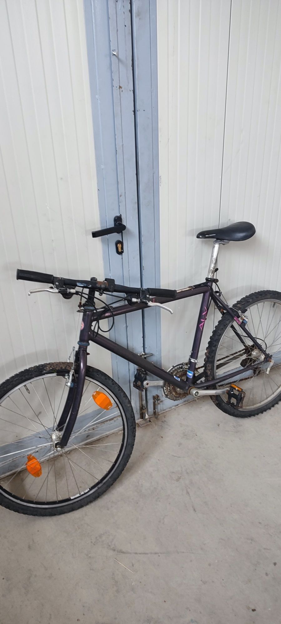 Biciclete de vânzare