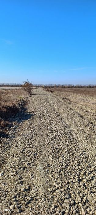 Loturi teren/ PUZ/ TSV Frumusani