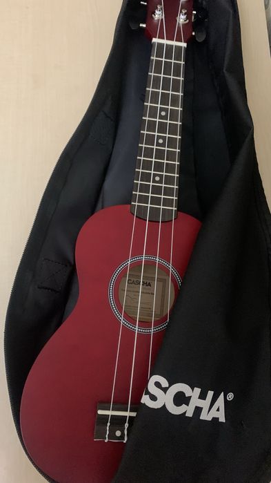 Укулеле бардового цветы