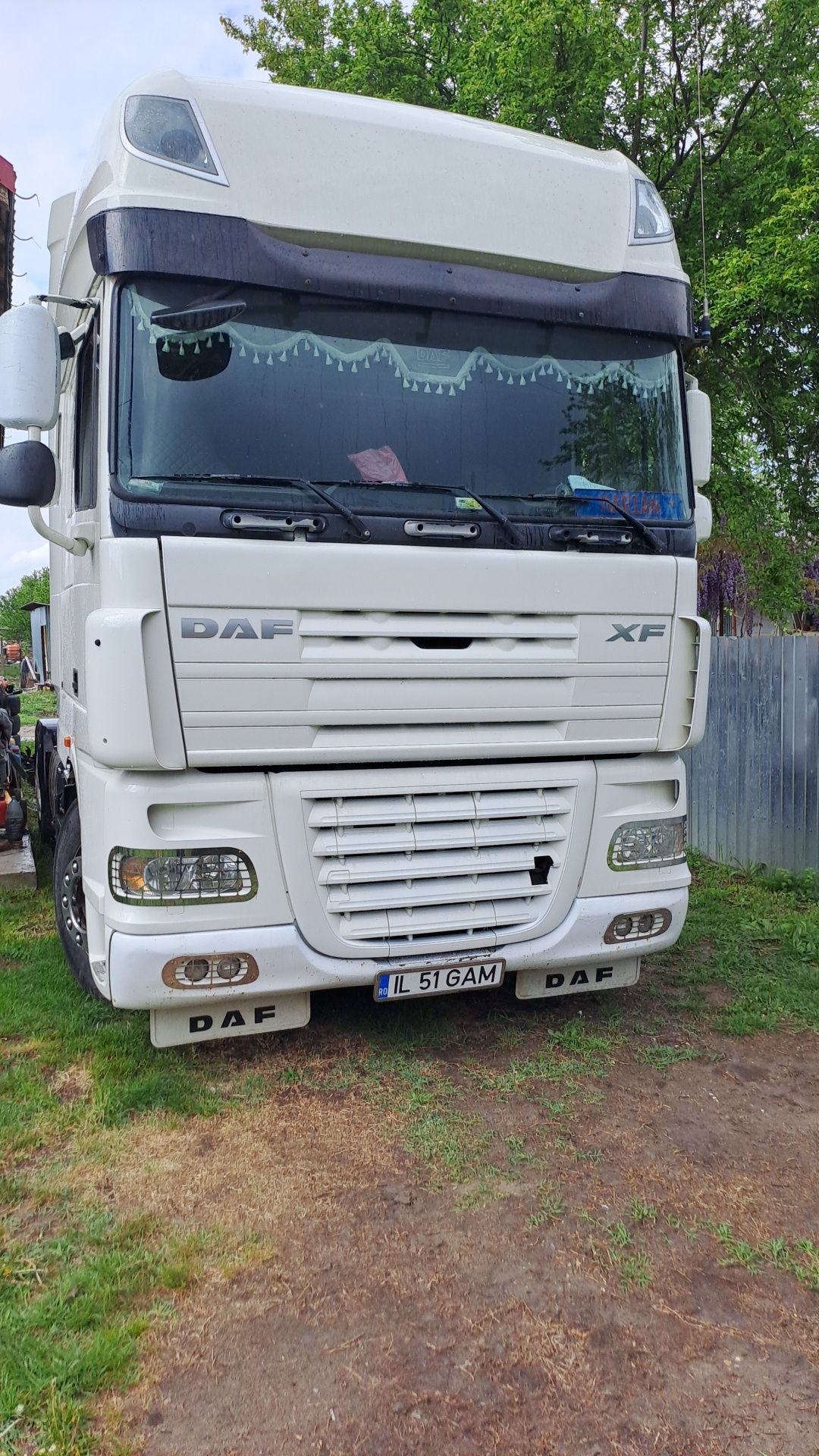 Vand Daf XF cap tractor