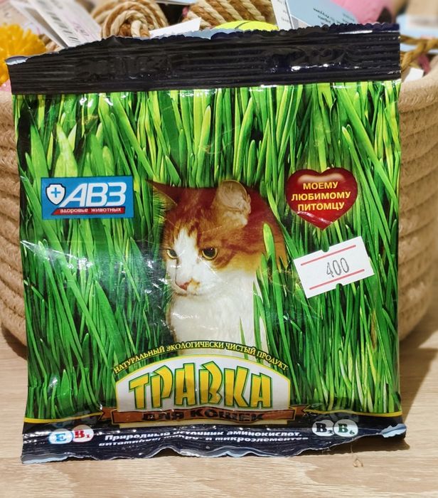 Трава пророщенная,семена травы для животных