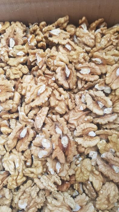 MIEZ DE NUCĂ jumătăți cal 1