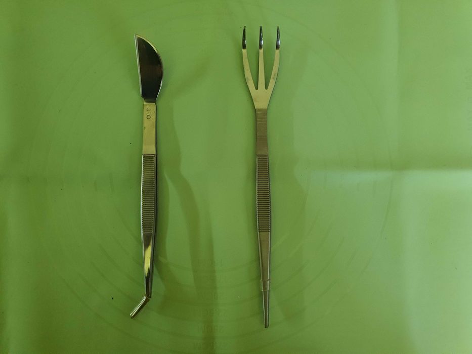 Spatulă pieptene rădăcini pentru Bonsai - Original Japonia
