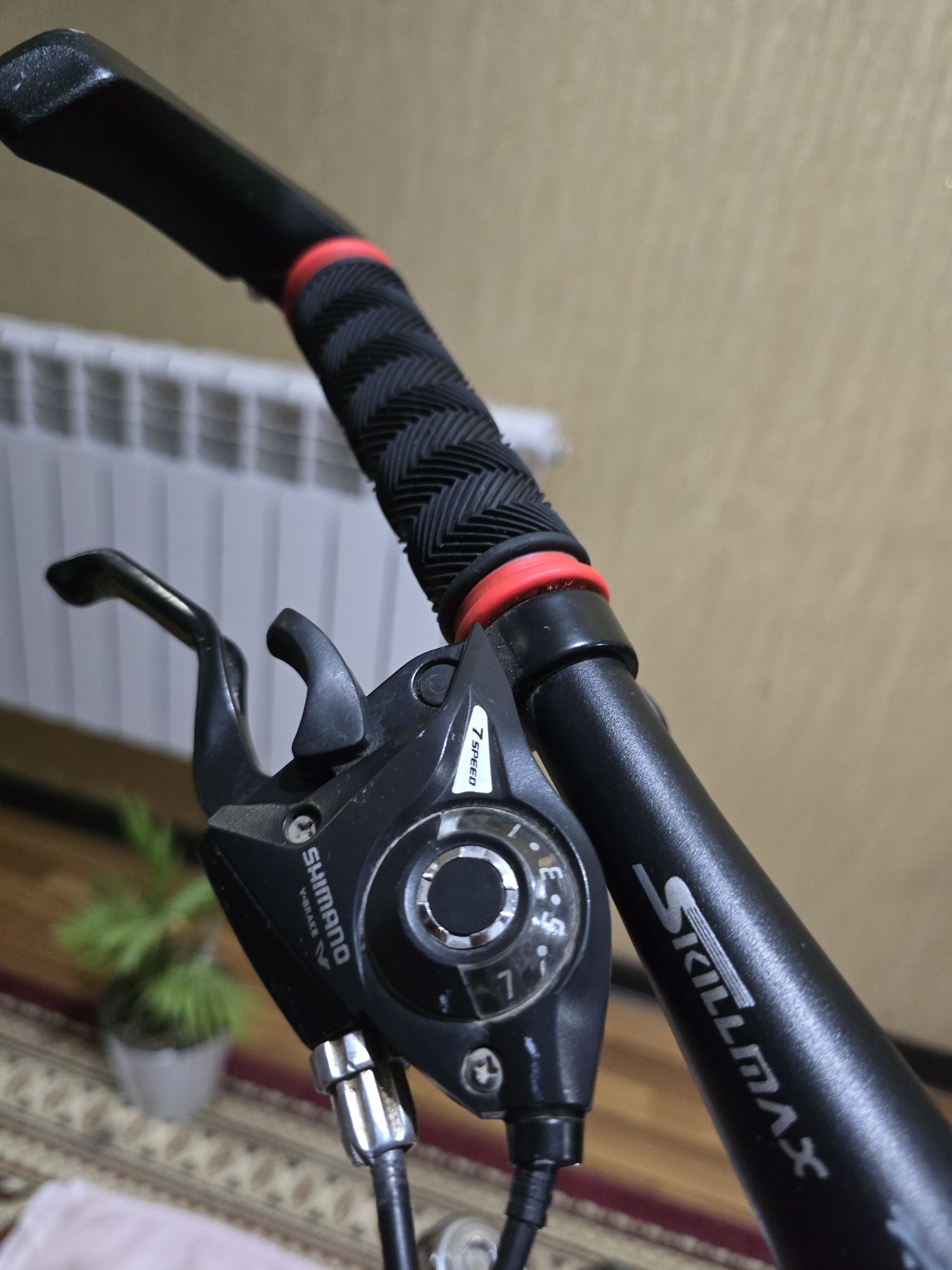 Velosiped SKILLMAX