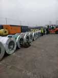 Profnastil optom xitoy polimer tunuka rulon Shandong buxta