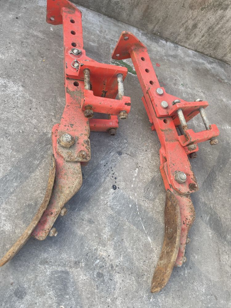 Pinion lely remac maschio