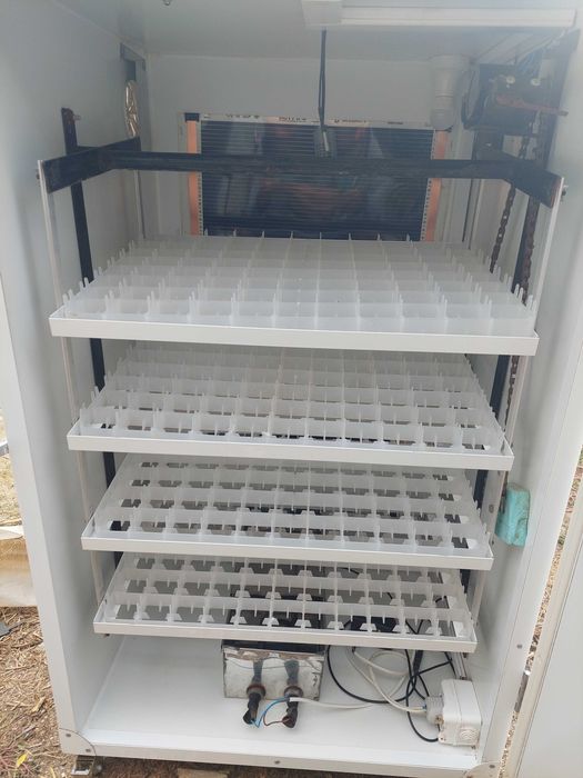 Incubator 352 oua gaina