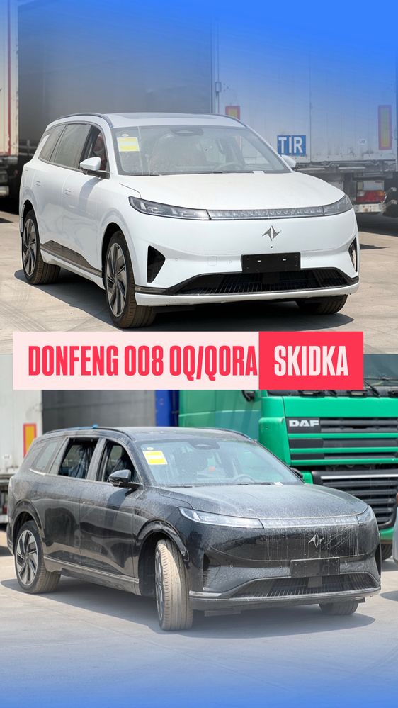 DONGFENG 008 Max Skidka