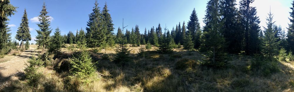 Teren INTRAVILAN de VANZARE (1500mp) - Partia de Ski Marisel