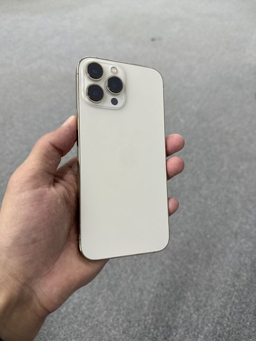Apple 13 Pro Max