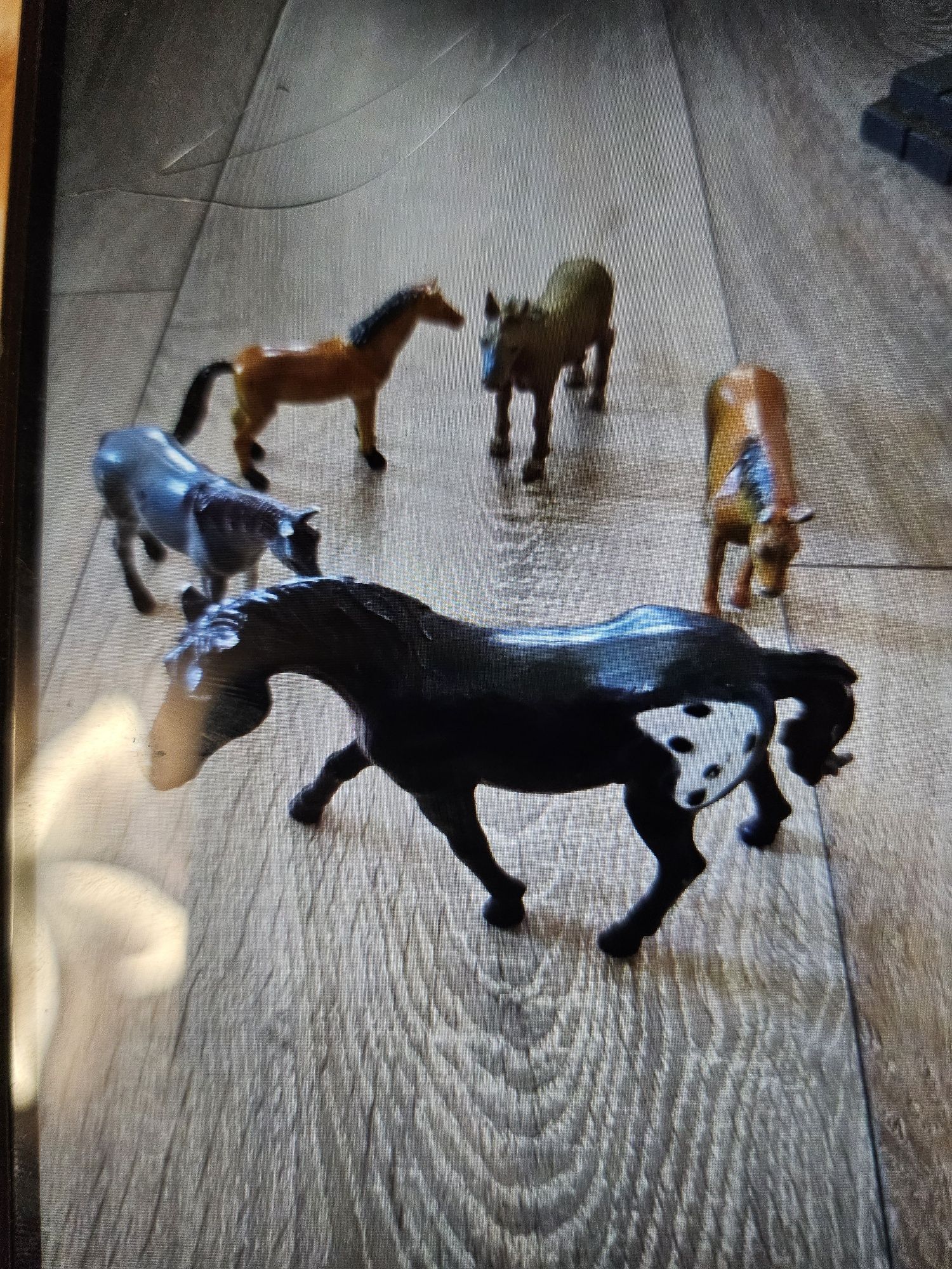 Animale de la ferma un cal cu 4 manzi