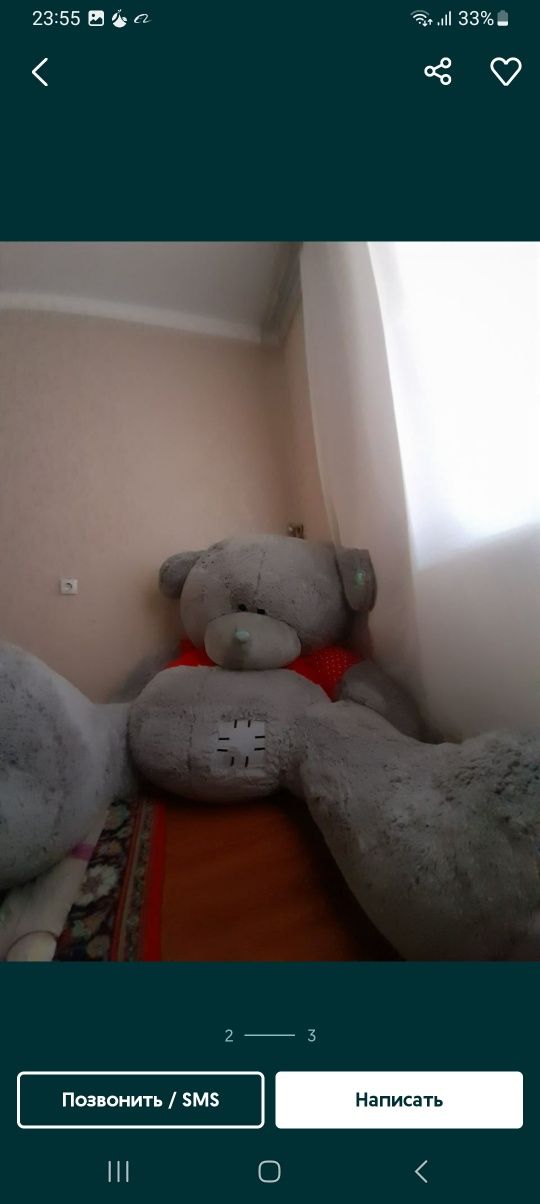 Teddy ayiq eng kottasi eng uzuni