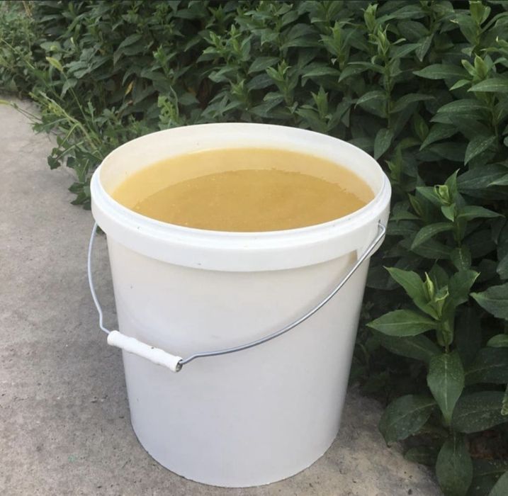 Ведра пластикывый